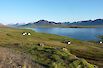 Trekkingreise_isländisches_Hochland